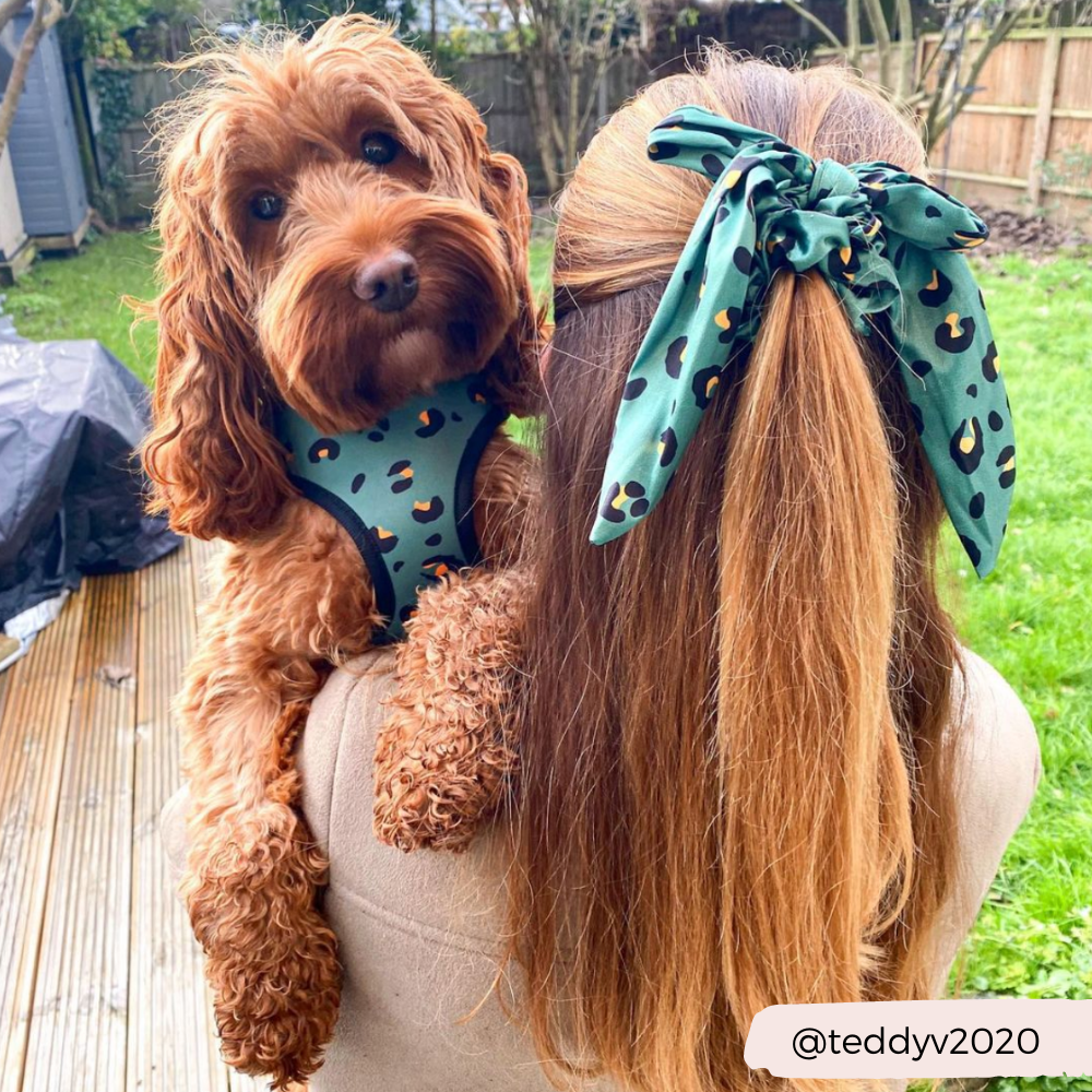 Khaki Leopard Adjustable Neck Harness: XXS