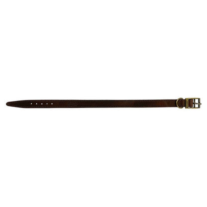 HugglePets Legacy Leather Dog Collar: Khaki / Medium