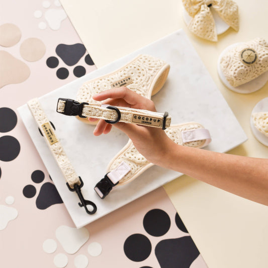 Festival Crochet Collar: Large