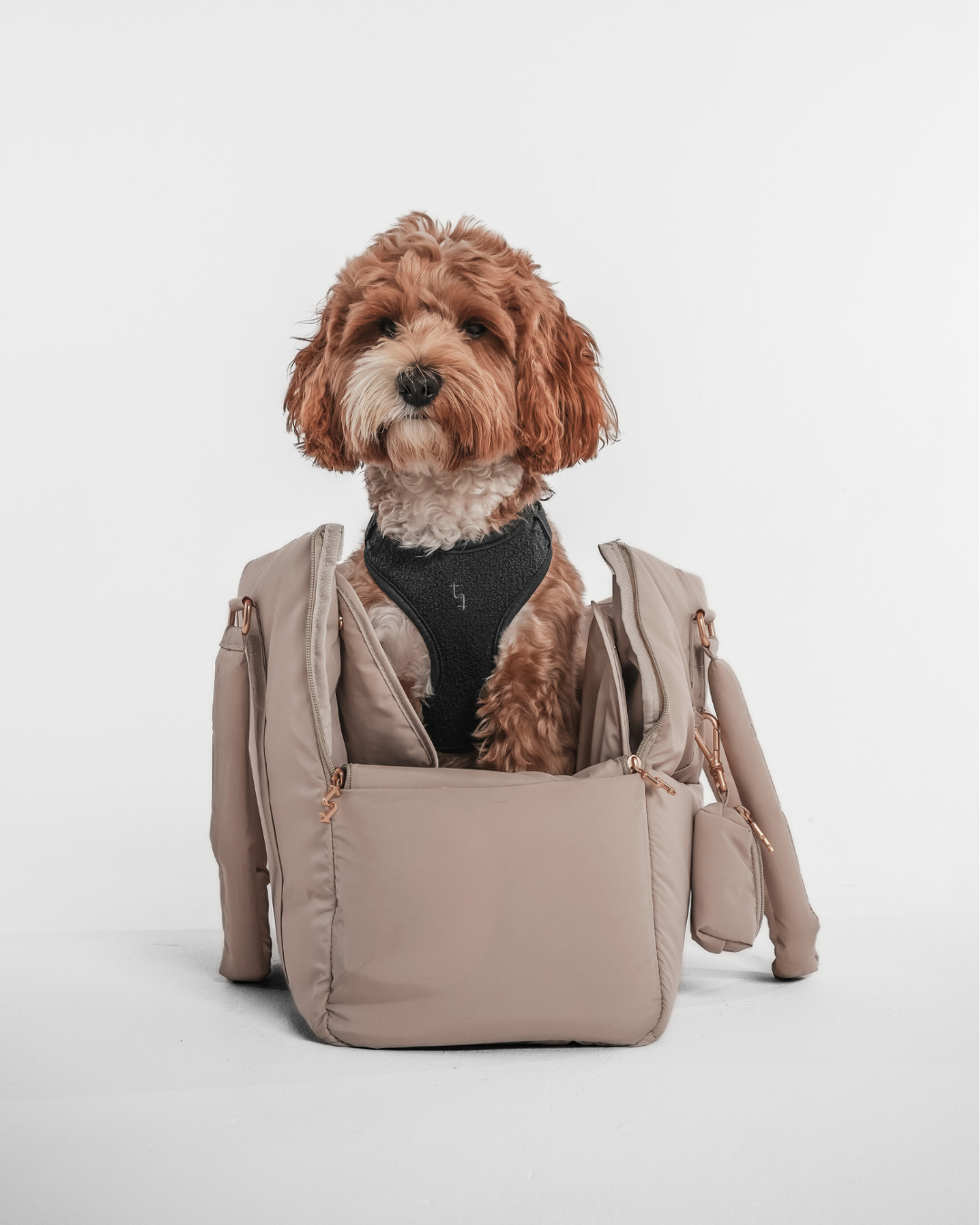 Hazelnut┃The Puffer Carrier