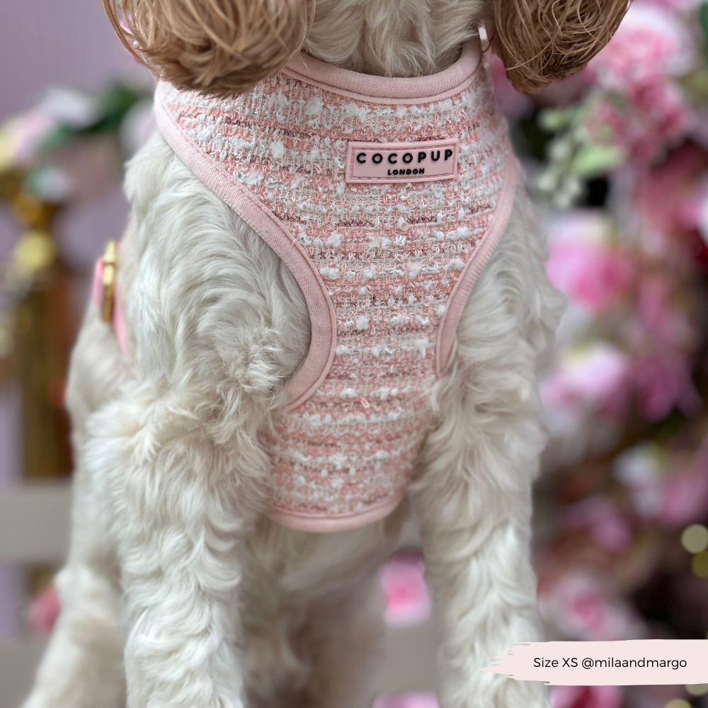 Pink Textured Tweed Adjustable Neck Harness: S