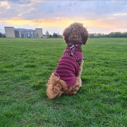 Small Breed Dog Fleece Jumper: Dusty Rose / Extra Small