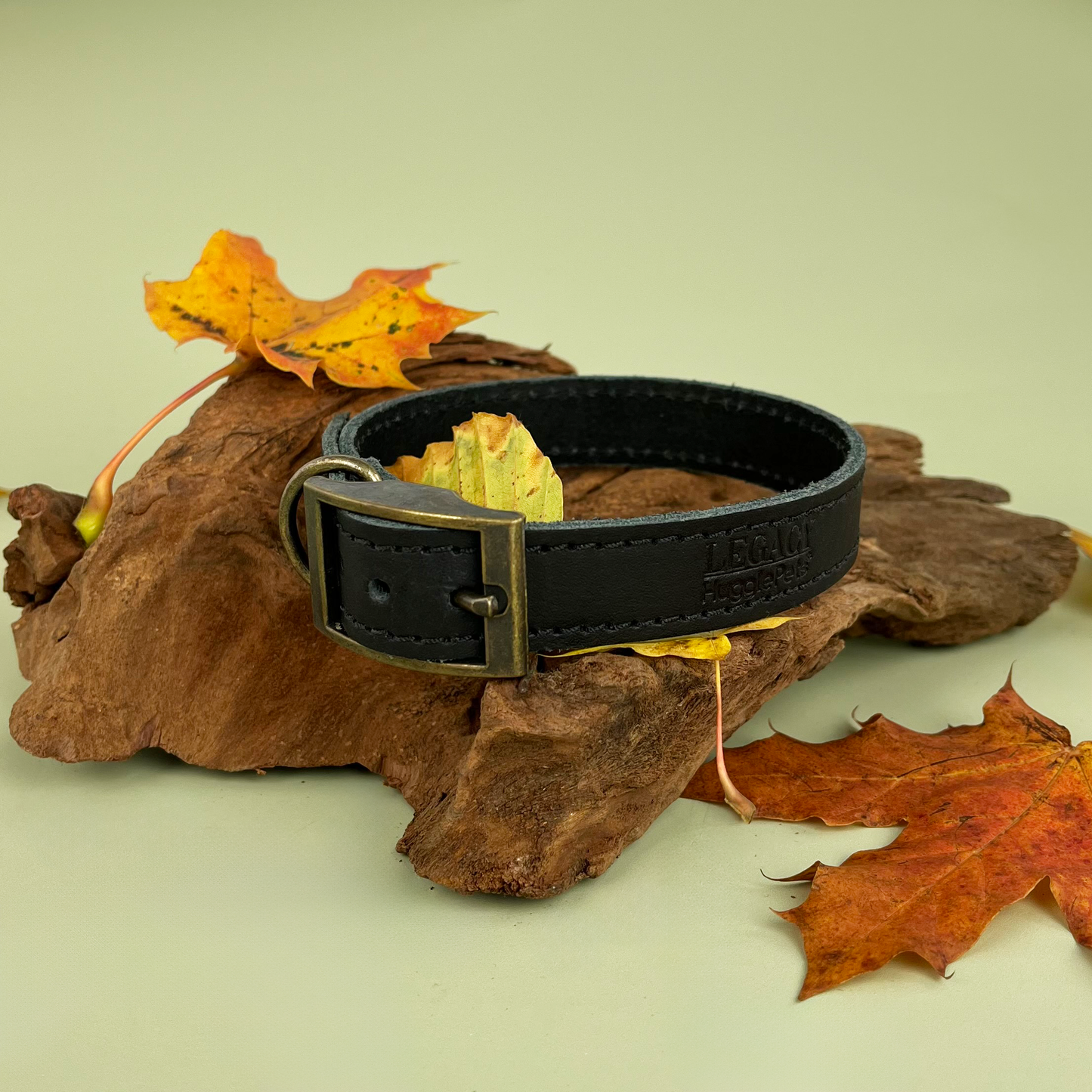 HugglePets Legacy Leather Dog Collar: Khaki / Medium