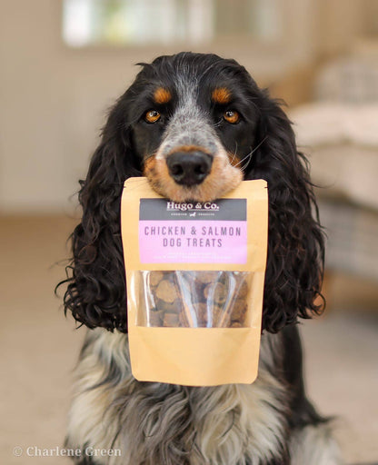 Salmon & Chicken Dog Treats
