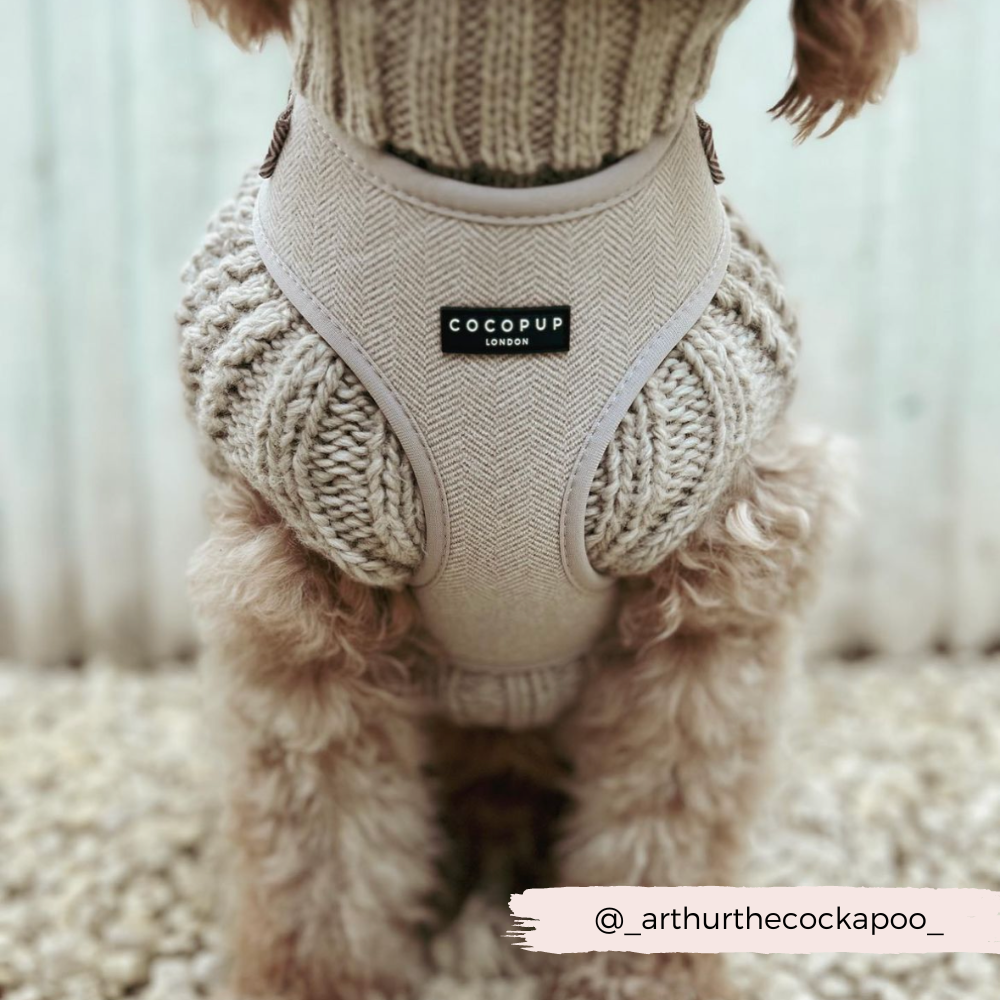 Brown Tweed Adjustable Neck Harness: XXS