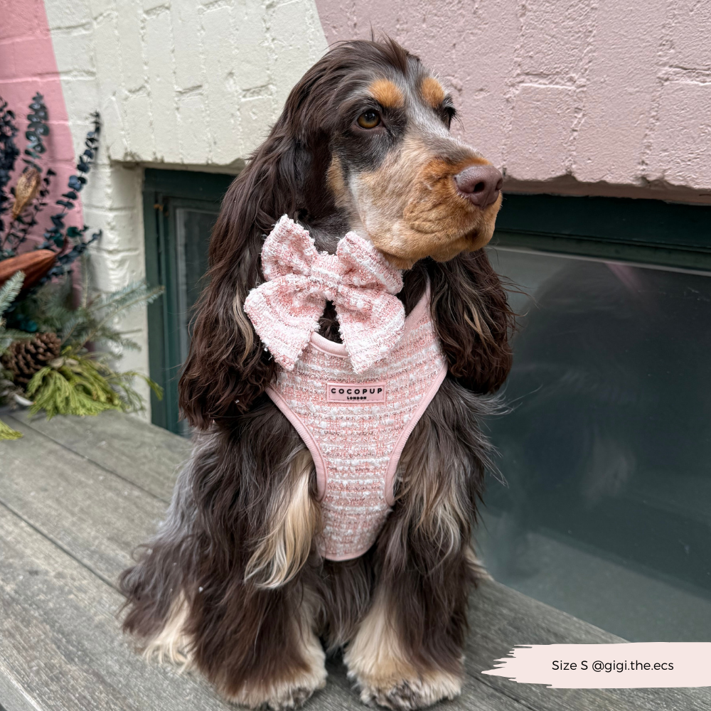 Pink Textured Tweed Adjustable Neck Harness: S