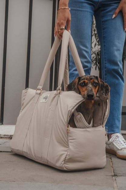 Hazelnut┃The Puffer Carrier