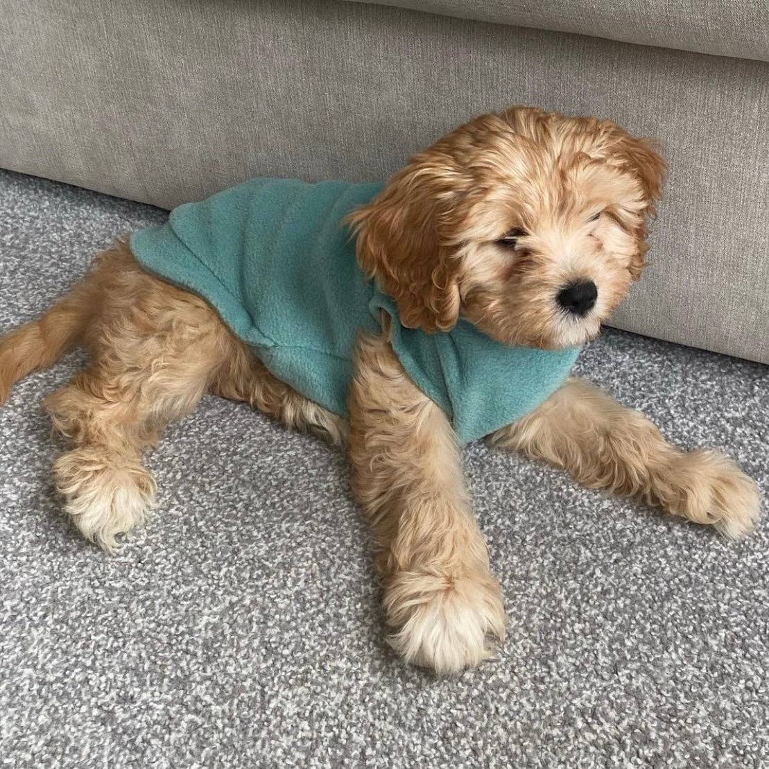 Small Breed Dog Fleece Jumper: Dusty Rose / Extra Small