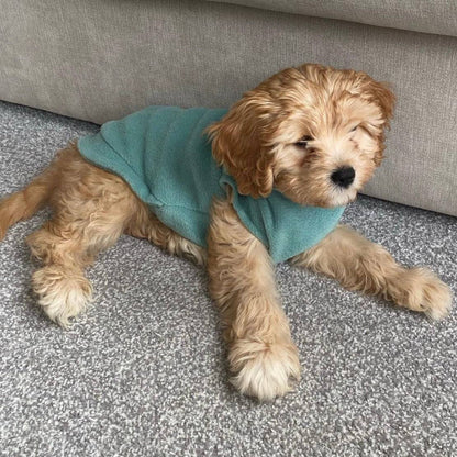 Small Breed Dog Fleece Jumper: Dusty Rose / Extra Small