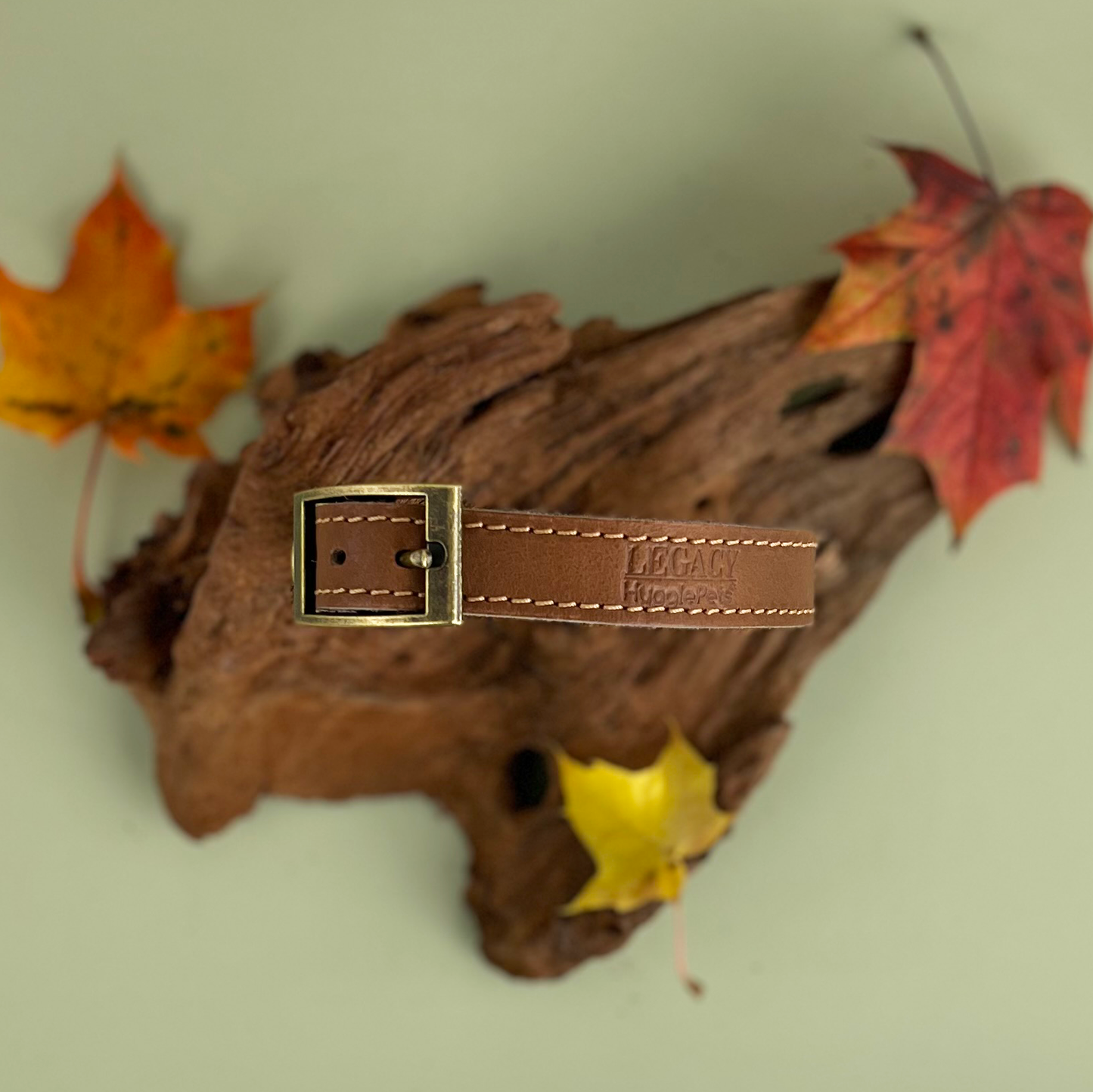 HugglePets Legacy Leather Dog Collar: Khaki / Medium