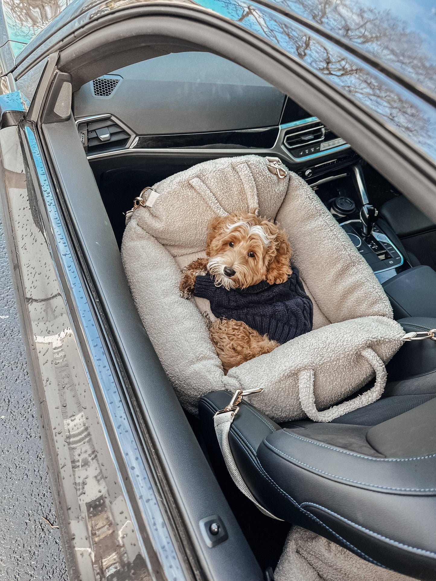 The Cosy Car Seat: Small