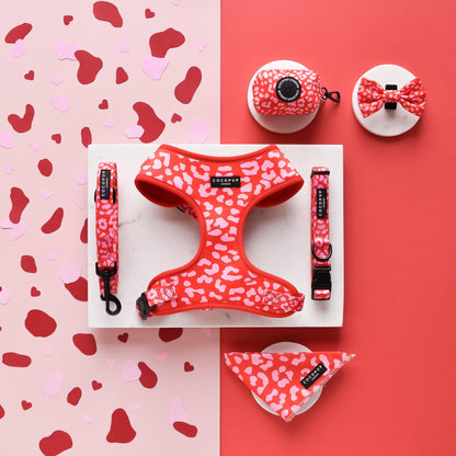 Red & Pink Leopard Collar: Large