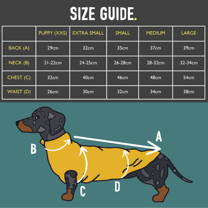 Summer T-Shirts for Dachshunds: Leopard Print / Small