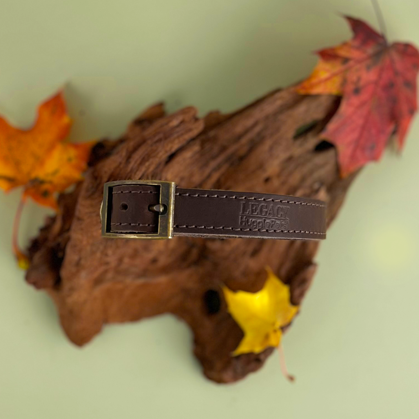 HugglePets Legacy Leather Dog Collar: Khaki / Medium