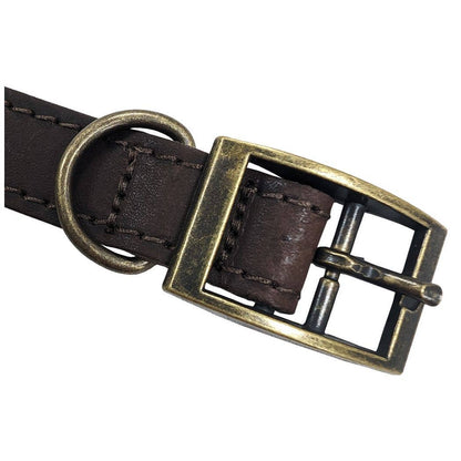 HugglePets Legacy Leather Dog Collar: Khaki / Medium