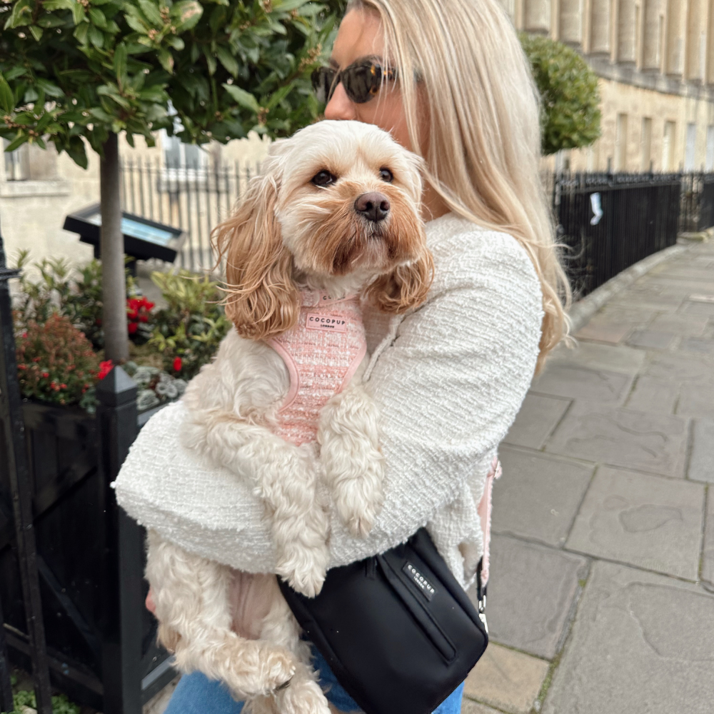 Pink Textured Tweed Adjustable Neck Harness: S