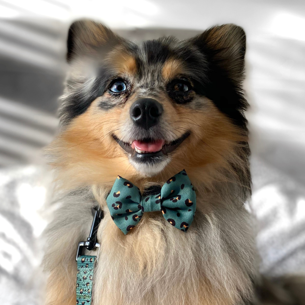 Khaki Leopard Bow Tie