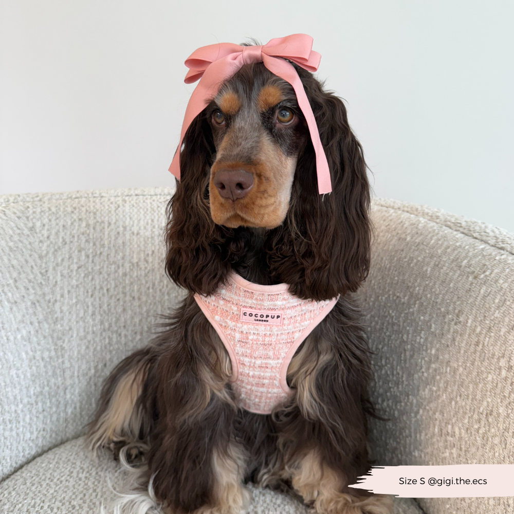 Pink Textured Tweed Adjustable Neck Harness: S