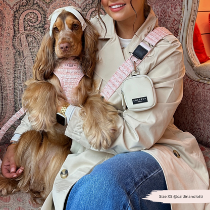 Pink Textured Tweed Adjustable Neck Harness: S