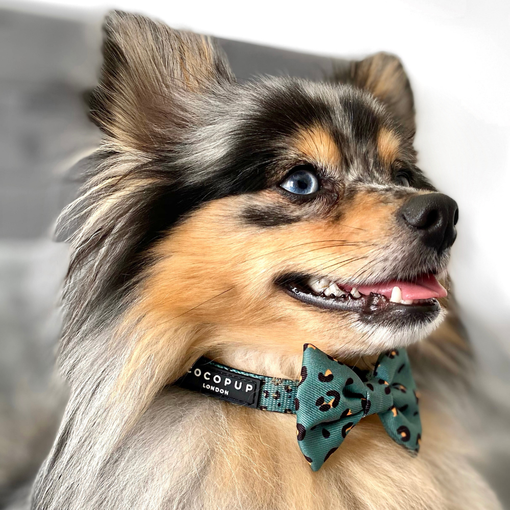 Khaki Leopard Bow Tie