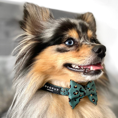 Khaki Leopard Bow Tie