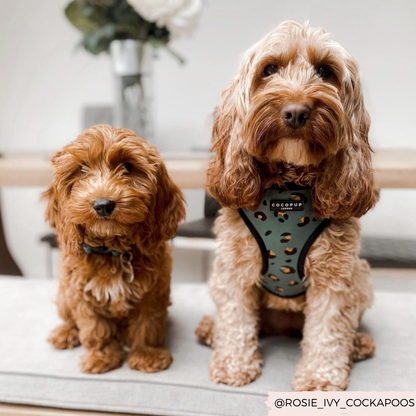 Khaki Leopard Adjustable Neck Harness: XXS