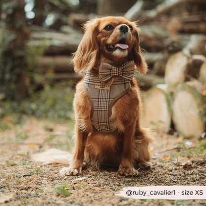 Pup Plaid Adjustable Neck Harness: XS