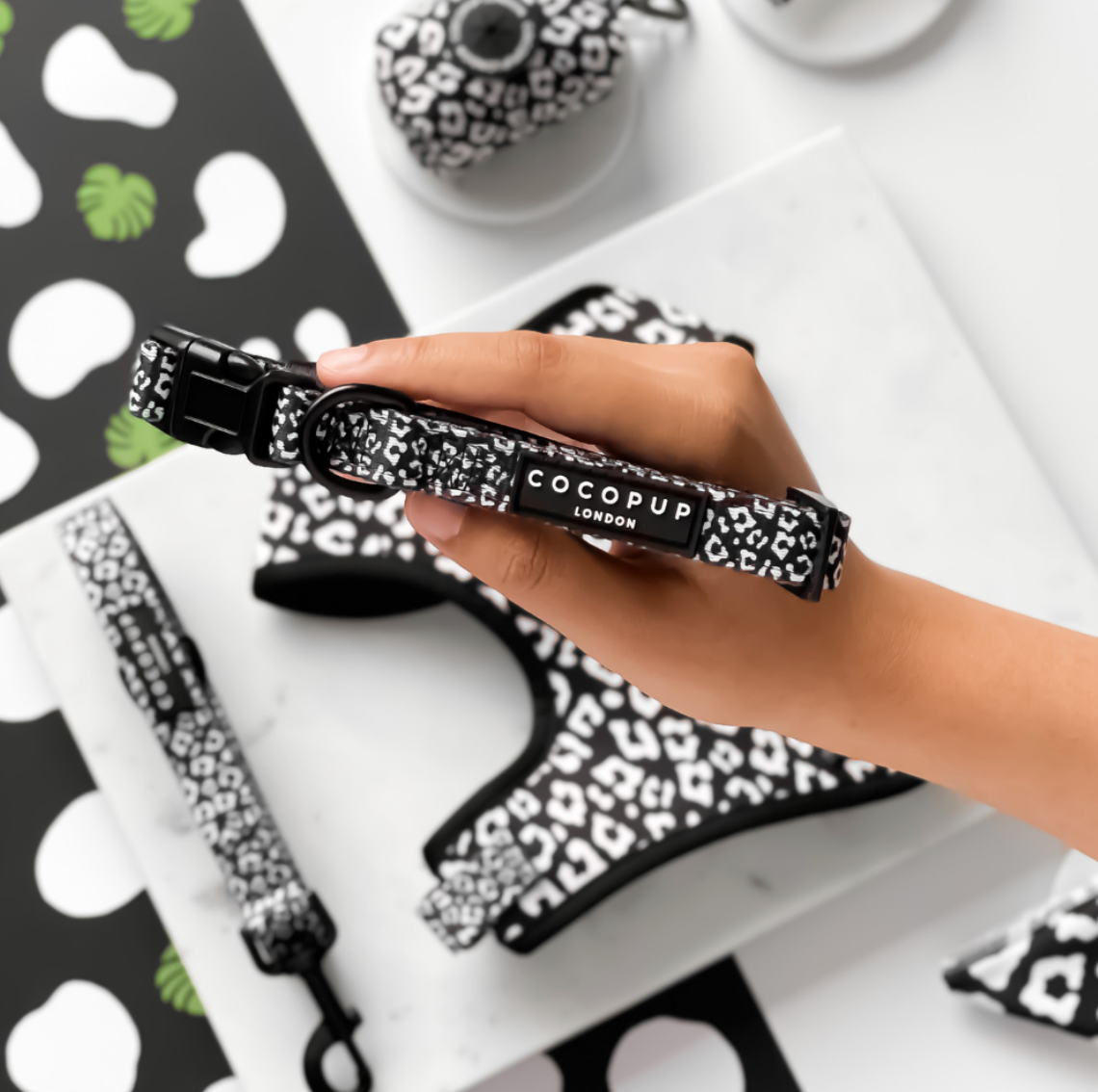 Black Leopard Collar: Medium