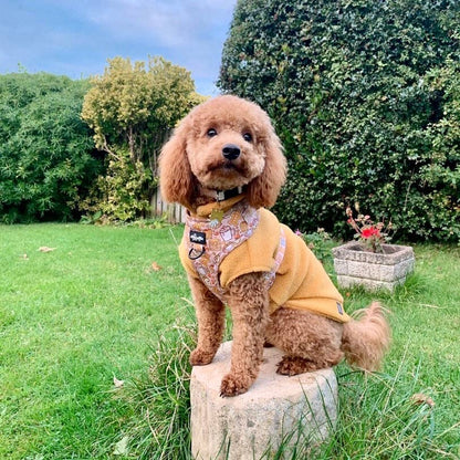 Small Breed Dog Fleece Jumper: Sage / Small