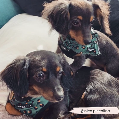 Khaki Leopard Adjustable Neck Harness: XXS