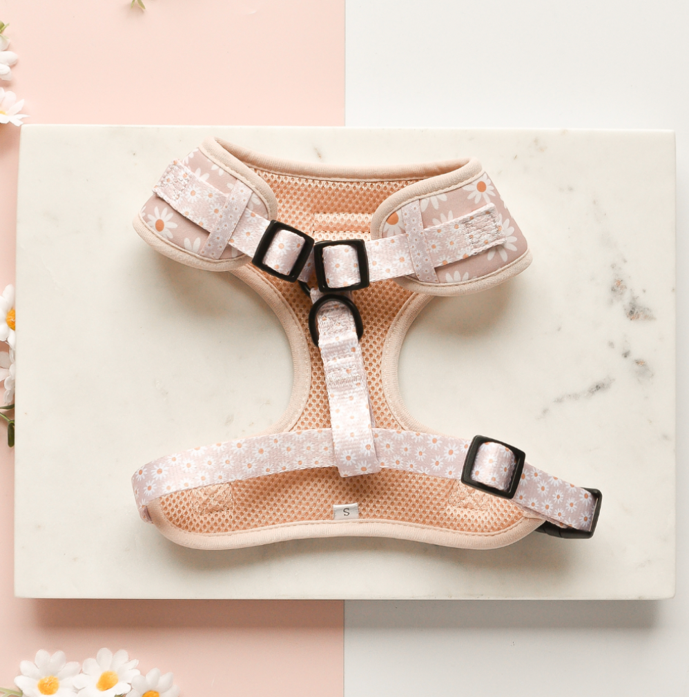 Daisy Chain Adjustable Neck Harness: L
