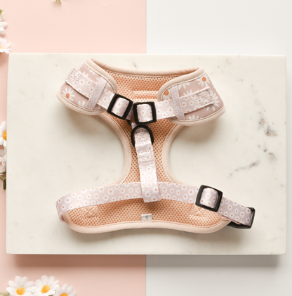 Daisy Chain Adjustable Neck Harness: L