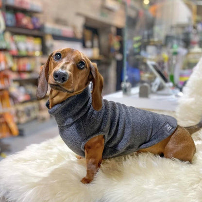 Dachshund Fleece Jumper: Olive / Puppy