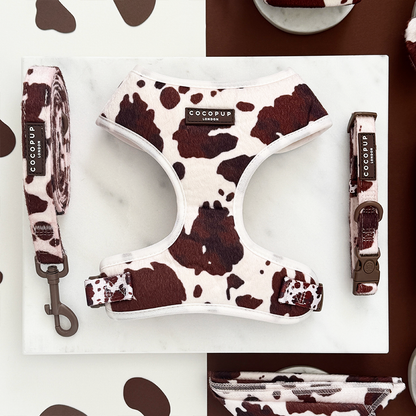 Rodeo Pup Collar: Large