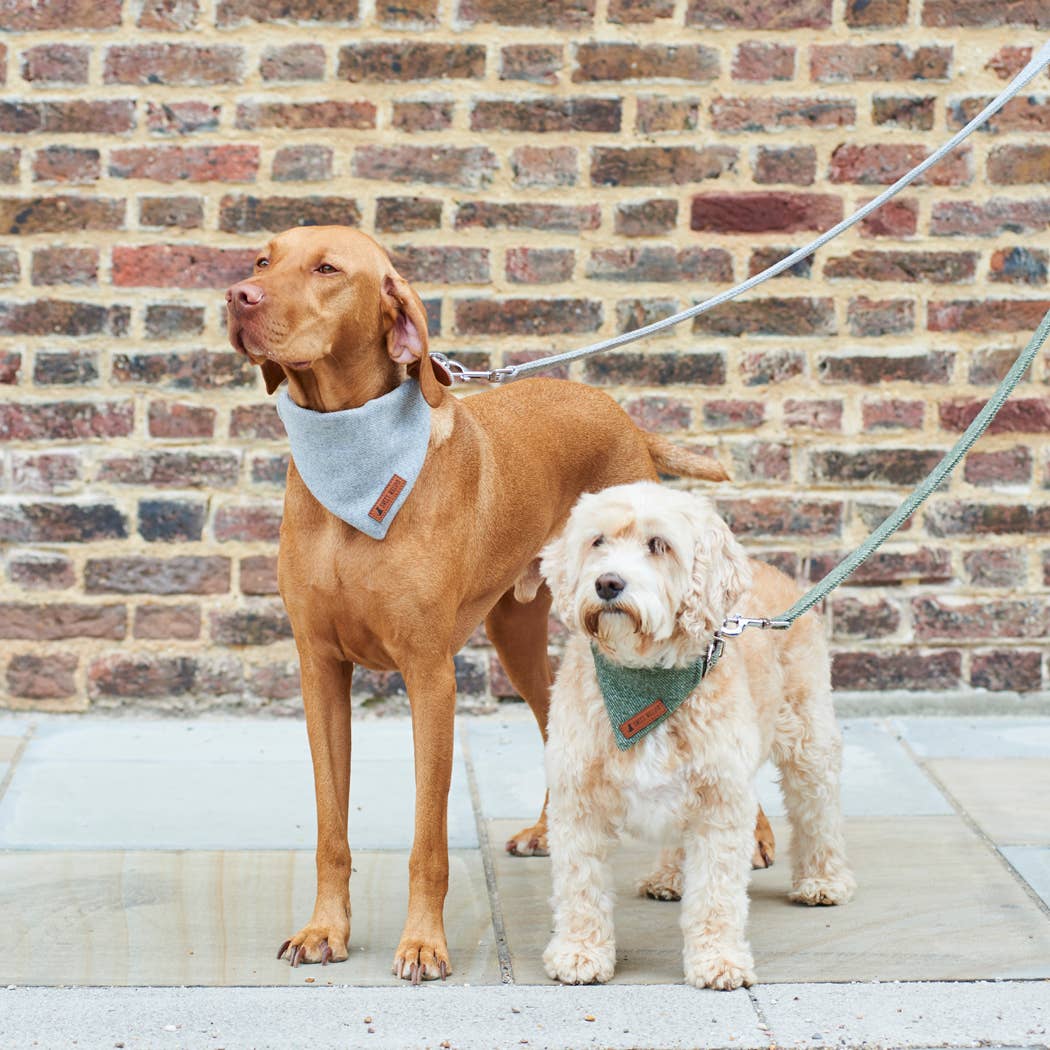 Bandana - Green Tweed: Medium