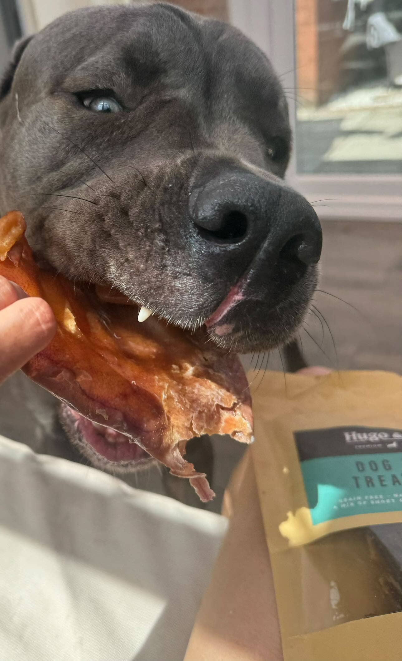 Dog Deli Bag - Natural Treats