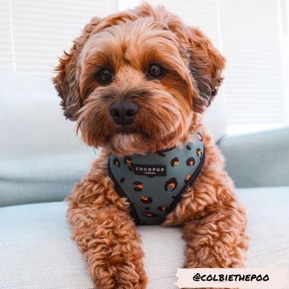 Khaki Leopard Adjustable Neck Harness: XXS