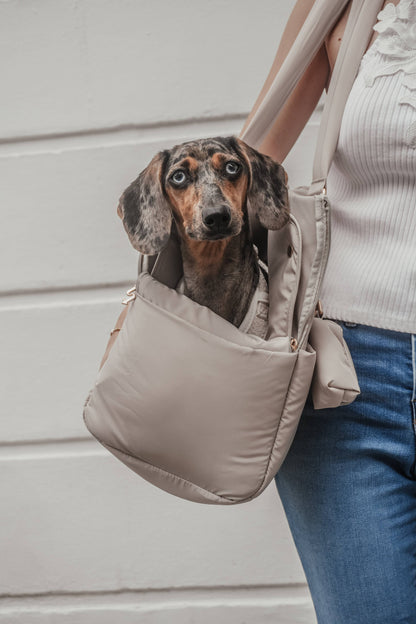 Hazelnut┃The Puffer Carrier