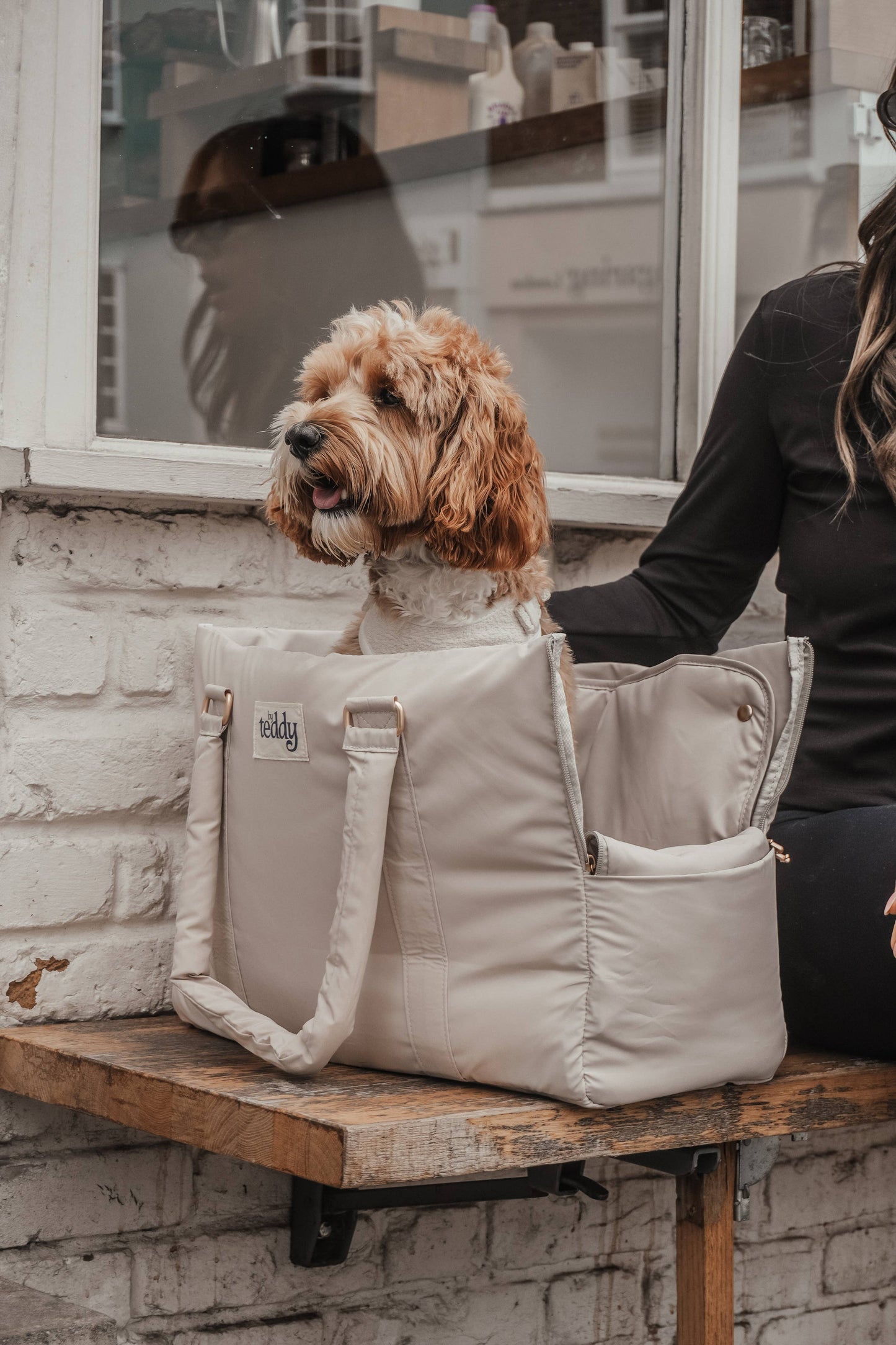 Hazelnut┃The Puffer Carrier