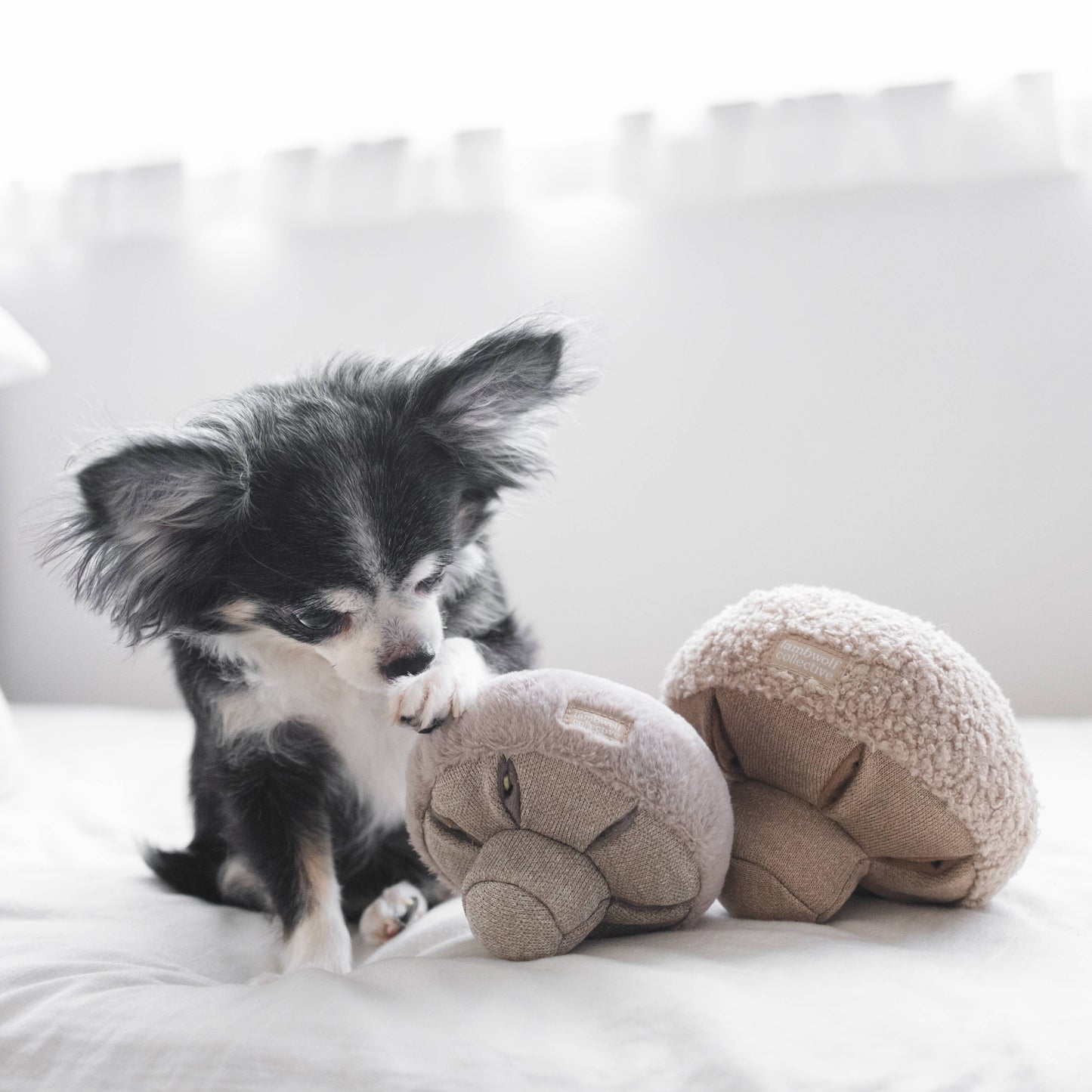 GUU//OAT//NOSEWORK MUSHROOM//ENRICHMENT DOG TOY: Small
