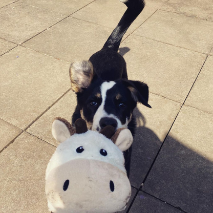 WufWuf Cow Squeaky Plush Tug Dog Toy