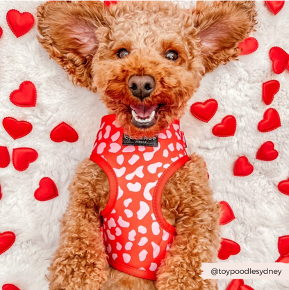 Red & Pink Leopard Adjustable Neck Harness: S