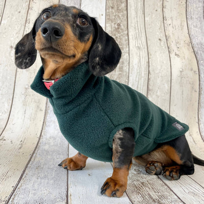 Dachshund Fleece Jumper: Olive / Puppy