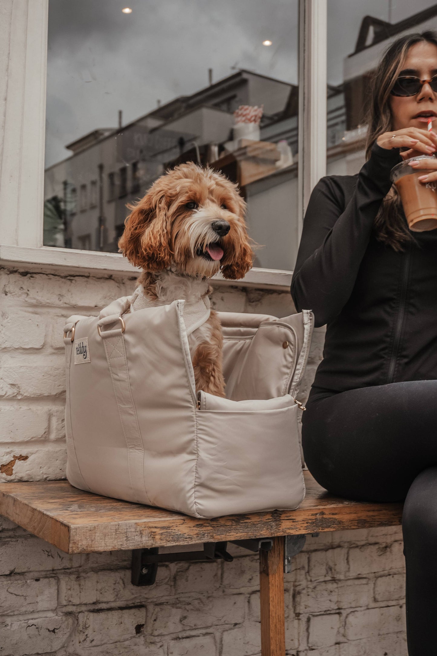 Hazelnut┃The Puffer Carrier