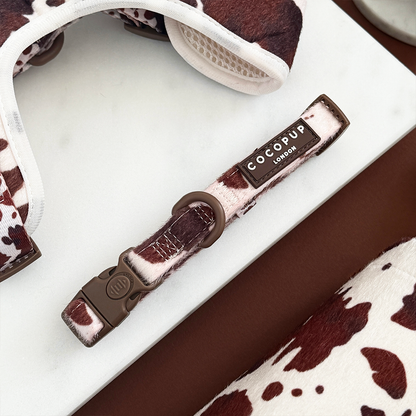 Rodeo Pup Collar: XS