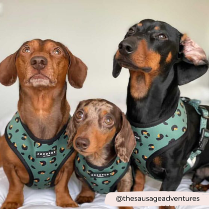 Khaki Leopard Adjustable Neck Harness: XXS