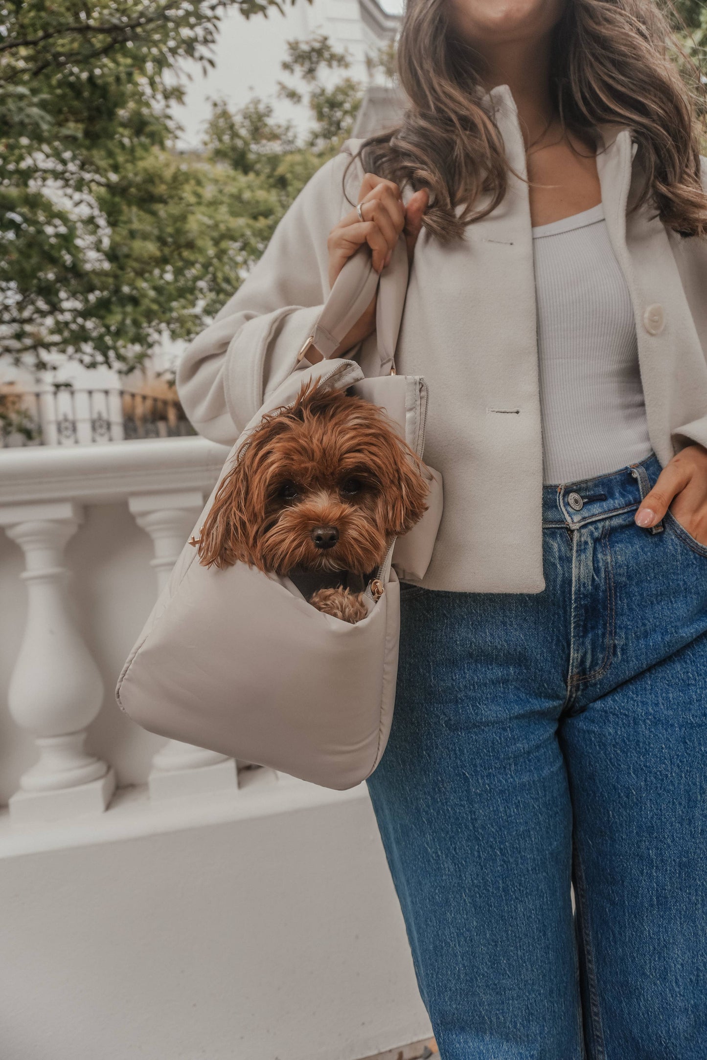 Hazelnut┃The Puffer Carrier