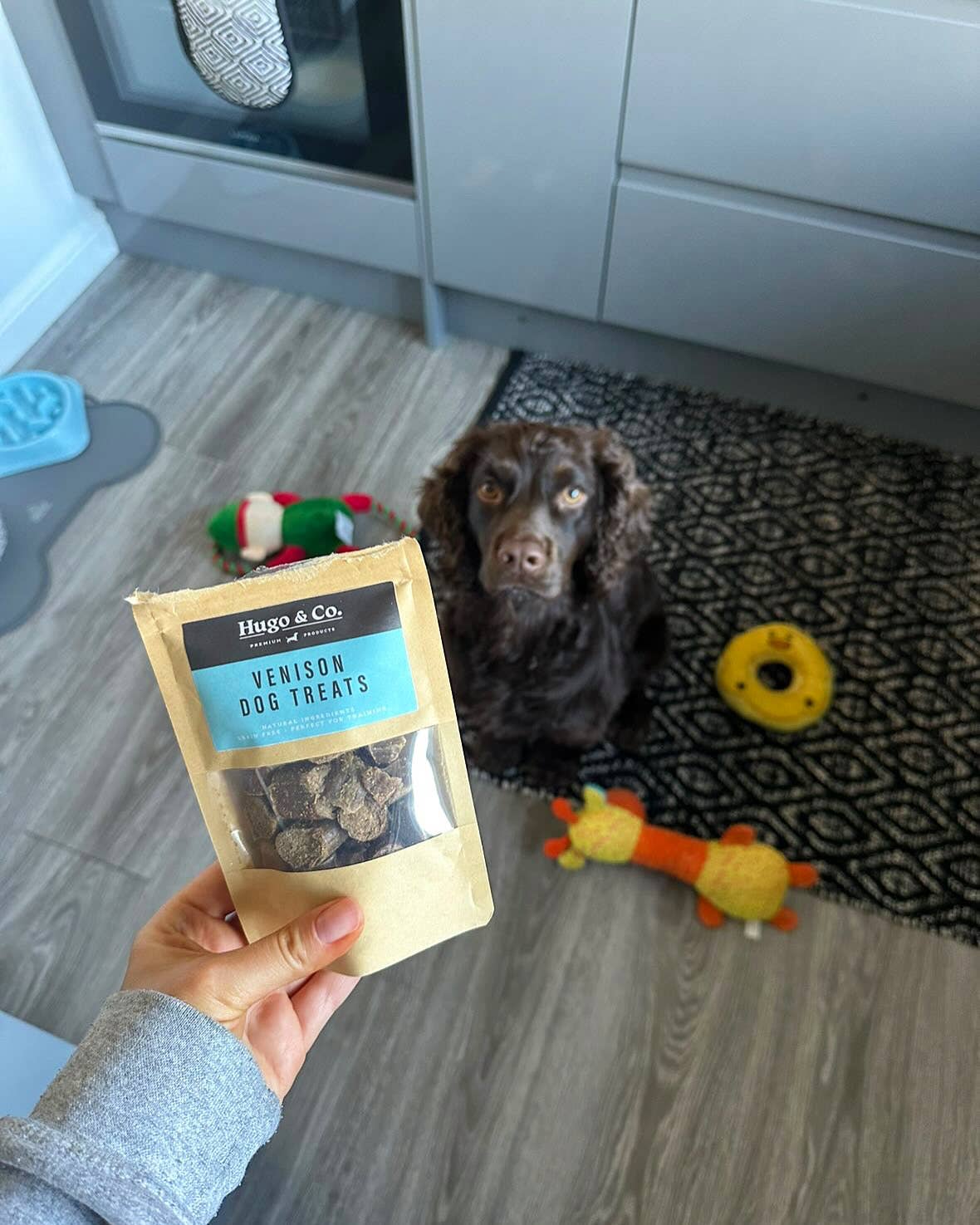 Venison Dog Treats