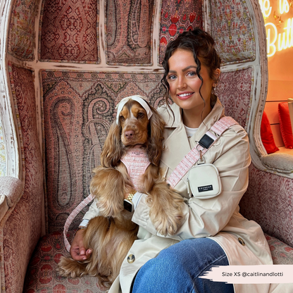 Pink Textured Tweed Adjustable Neck Harness: S