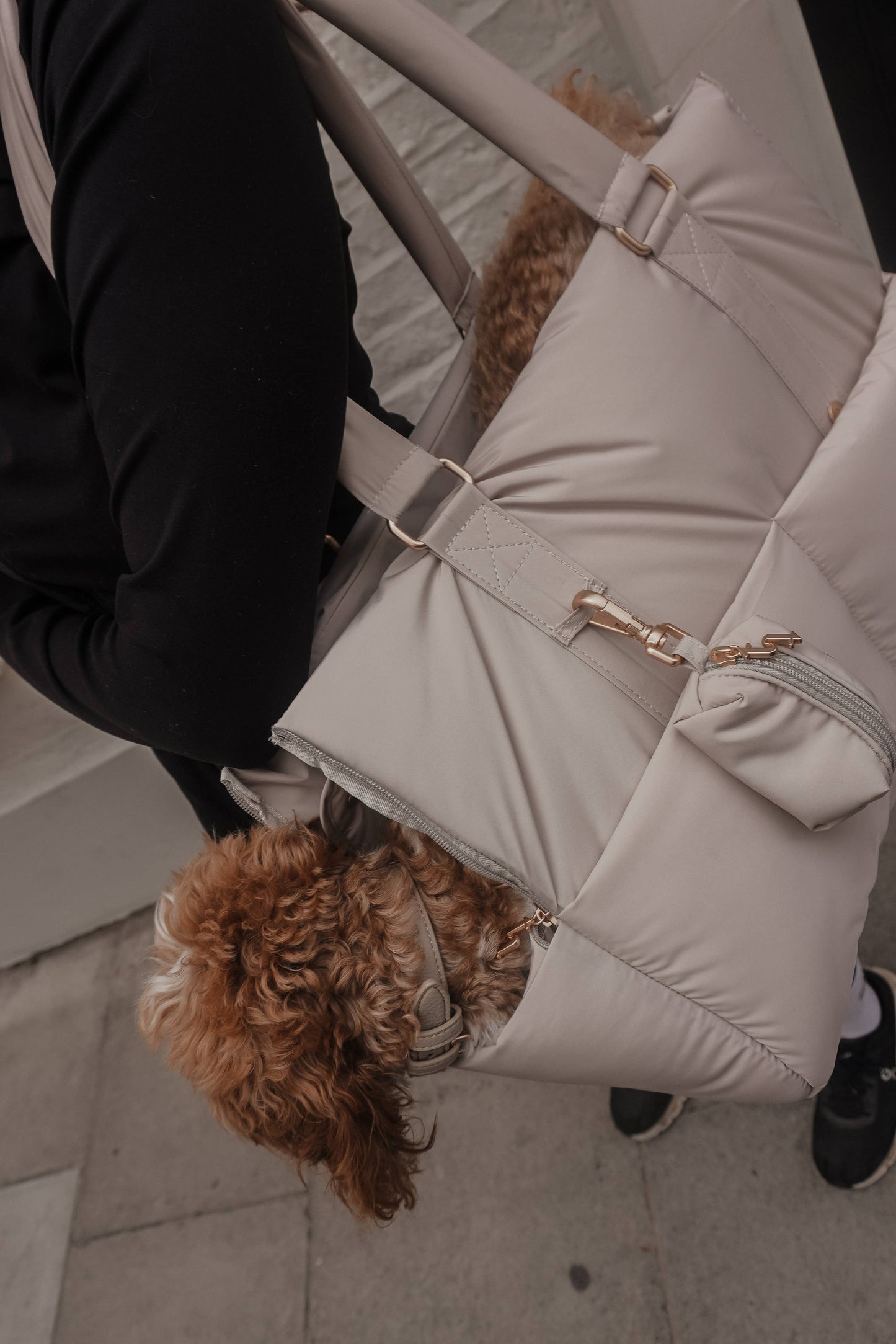 Hazelnut┃The Puffer Carrier